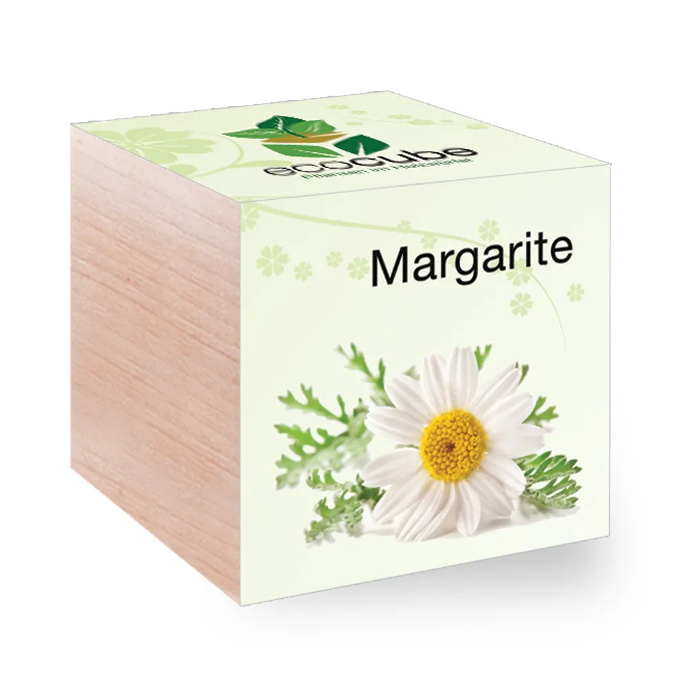 EcoCube - Pflanzen in Holzwürfeln - Margarite
