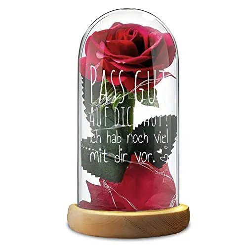 Rote Rose Glasdom Valentinstag Pass gut auf dich auf, ich habe noch viel mit dir vor.