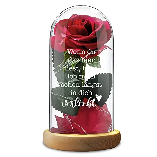 Rote Rose Glasdom Valentinstag Wenn du das hier liest, habe ich mich schon längst in dich verliebt