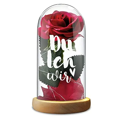 Rote Rose Glasdom Valentinstag Du ich wir