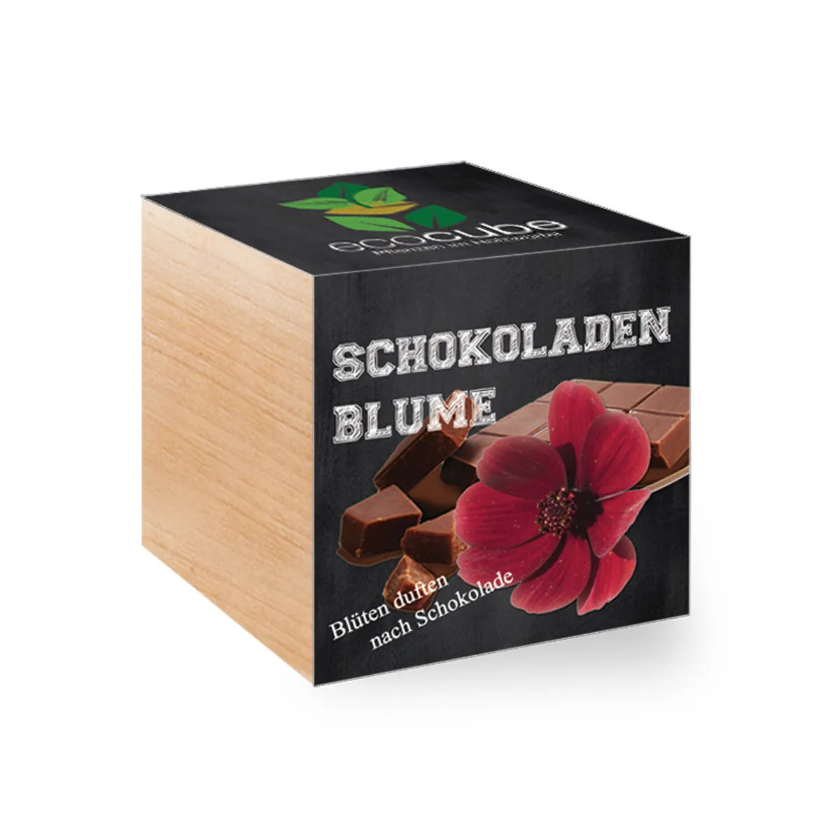 Pflanzwürfel - Schokoladen Blume