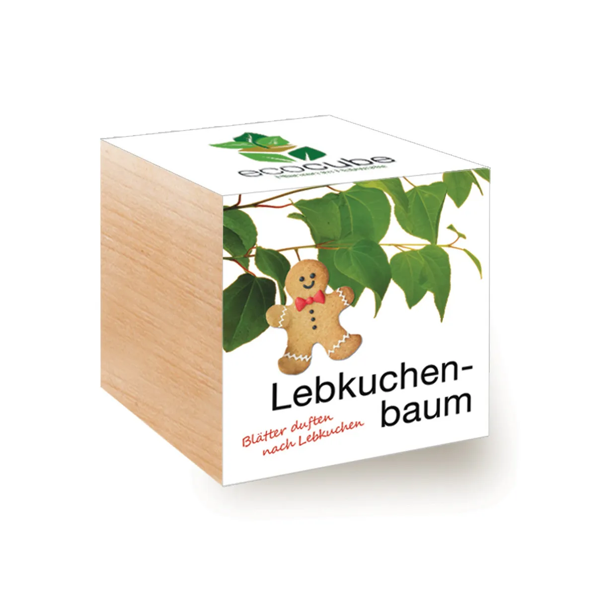 EcoCube Lebkuchenbaum