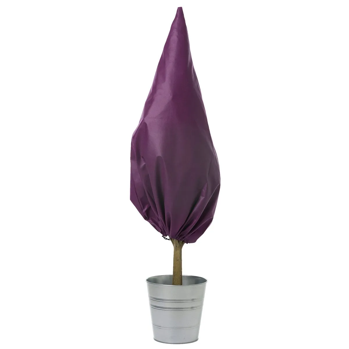 Winterschutz für Pflanzen - violett