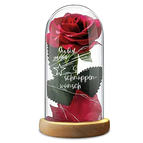 Rote Rose Glasdom Valentinstag Du bist mein Sternschnuppenwunsch