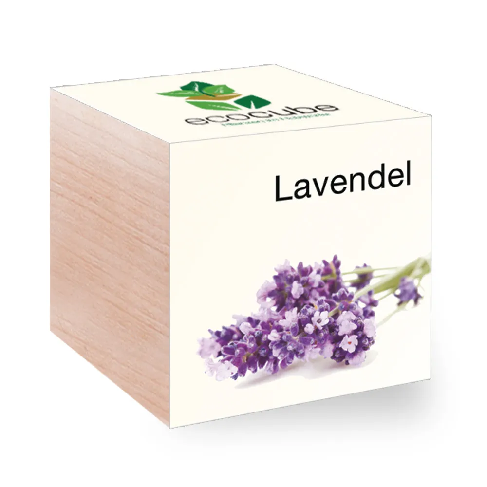 EcoCube - Pflanzen in Holzwürfeln - Lavendel
