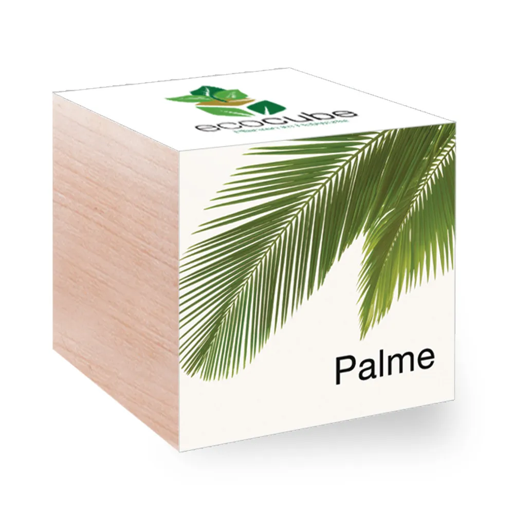 EcoCube - Pflanzen in Holzwürfeln - Palme