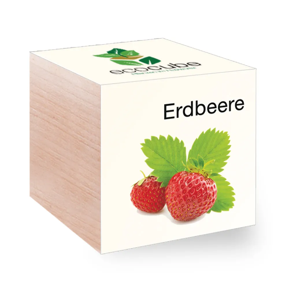 EcoCube - Pflanzen in Holzwürfeln - Erdbeere